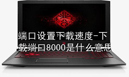 端口设置下载速度-下载端口8000是什么意思