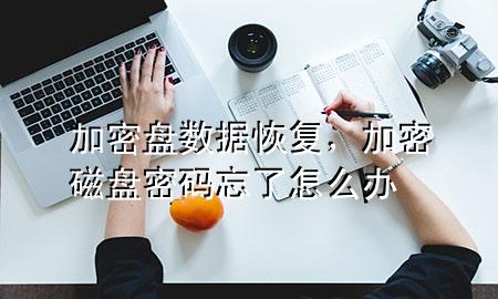 加密盘数据恢复，加密磁盘密码忘了怎么办