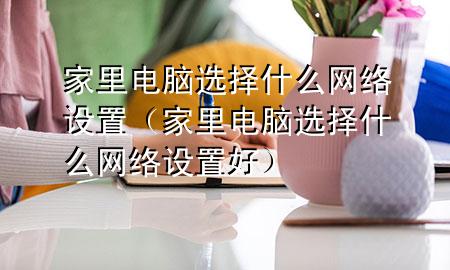 家里电脑选择什么网络设置（家里电脑选择什么网络设置好）