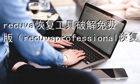 recuva恢复工具破解免费版（recuva professional恢复）