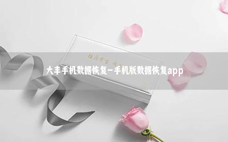 大丰手机数据恢复-手机版数据恢复app