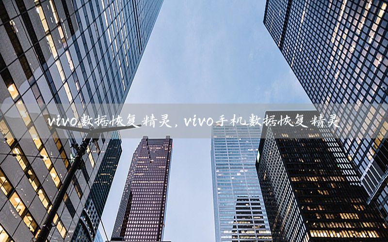 vivo数据恢复精灵，vivo手机数据恢复精灵