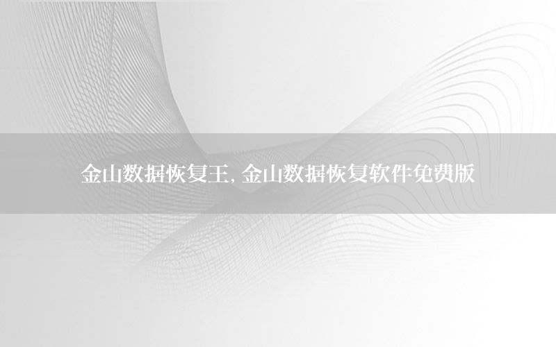 金山数据恢复王，金山数据恢复软件免费版