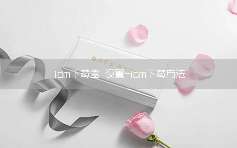 idm下载器 设置-idm下载方法