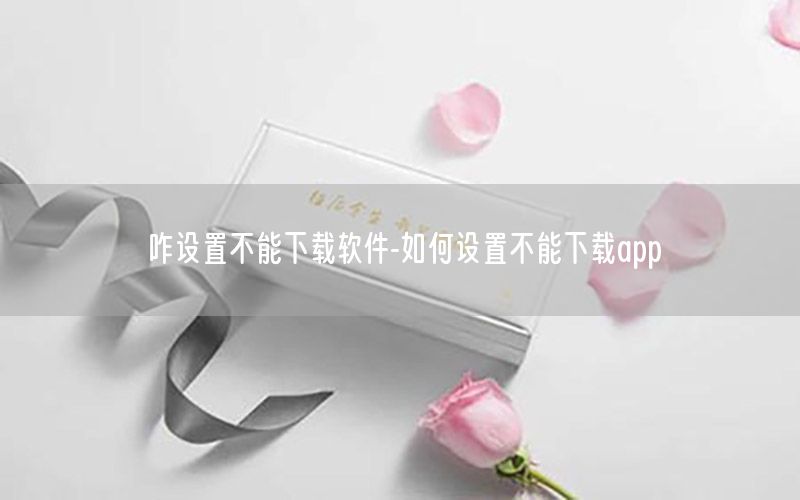 咋设置不能下载软件-如何设置不能下载app