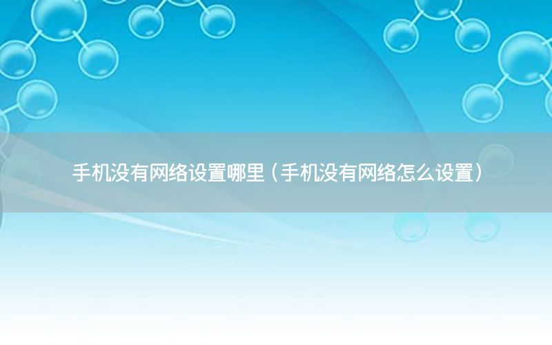 手机没有网络设置哪里（手机没有网络怎么设置）