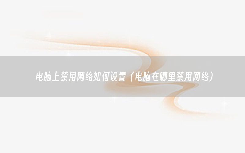 电脑上禁用网络如何设置（电脑在哪里禁用网络）