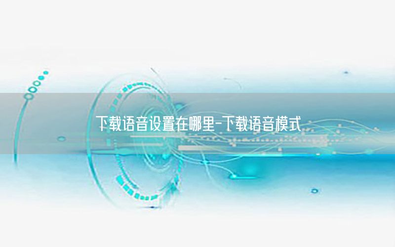 下载语音设置在哪里-下载语音模式